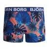 Björn Borg Boys Shorts La Garden 2P - 90651
