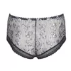 Prima Donna Ray of Light Luxe String - gris gris