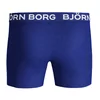 Björn Borg Core Shorts Strong Flower 2P - 70011