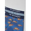 Woody Jongens Short 2P - aop + stripe boys axolotl