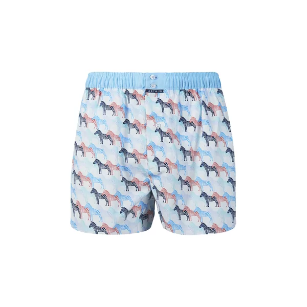 Arthur Boxer Club Homme - Blanc
