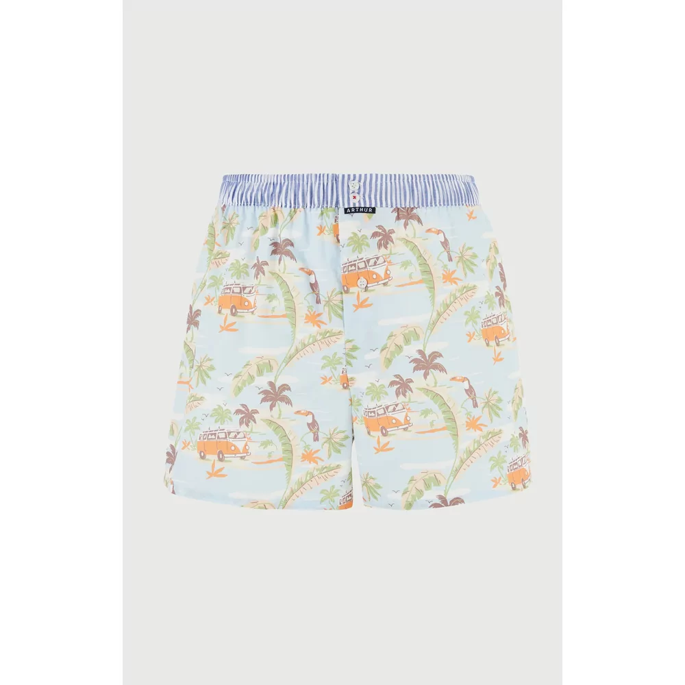 Arthur Boxer Club Homme Van - multicolor